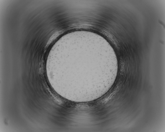 X0000097780978200804041210