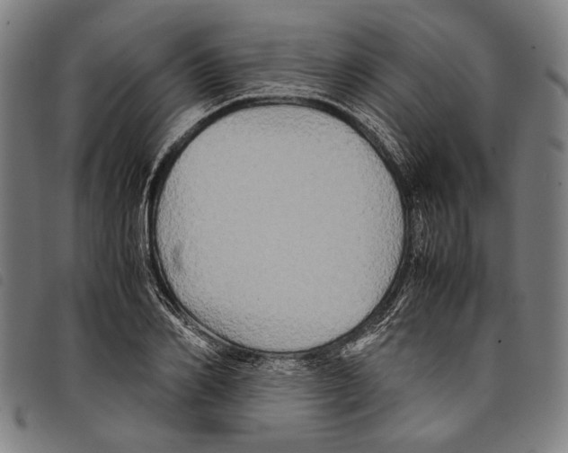 X0000097780982200804041210