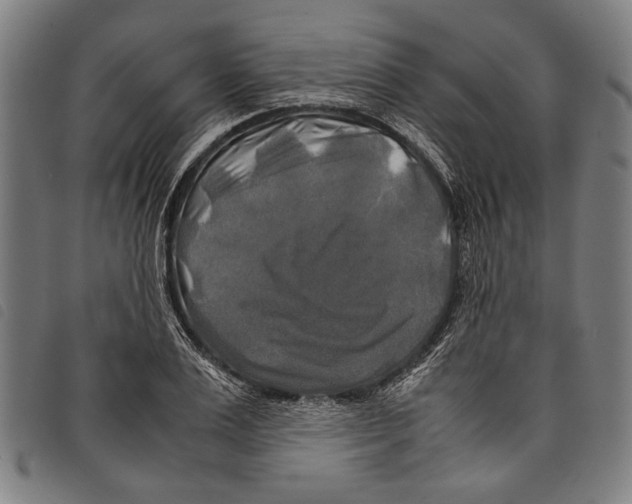 X0000097780983200804041210