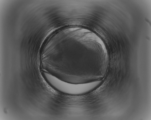 X0000097780984200804041210