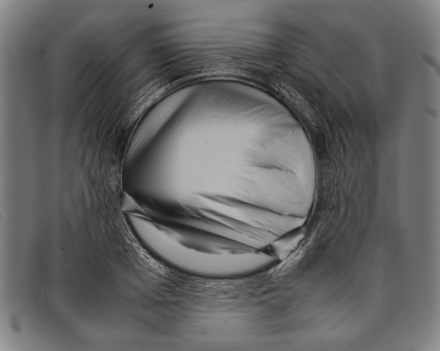 X0000097780985200804041210