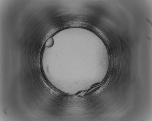 X0000097780986200804041210