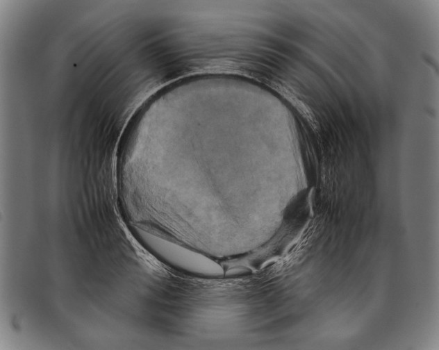 X0000097780988200804041210