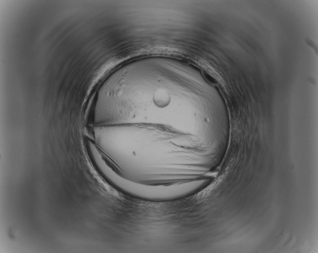 X0000097780989200804041210