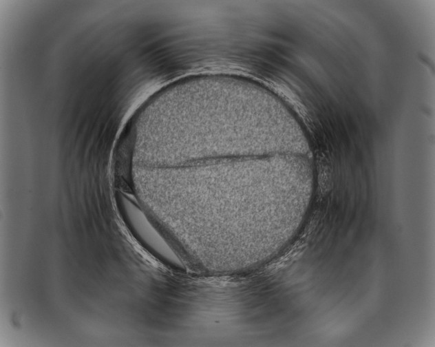 X0000097780990200804041210