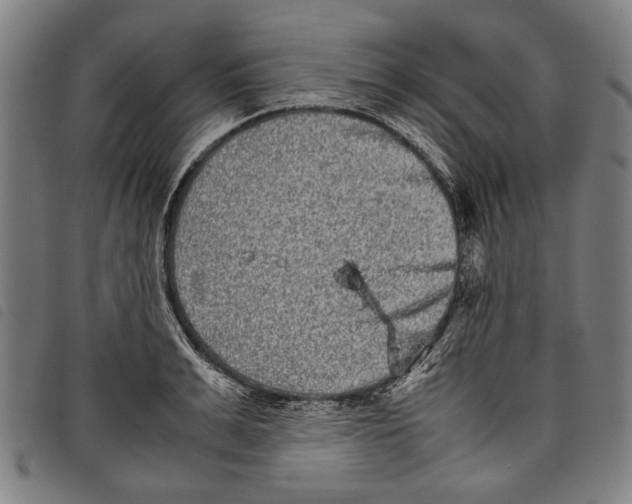 X0000097780991200804041210