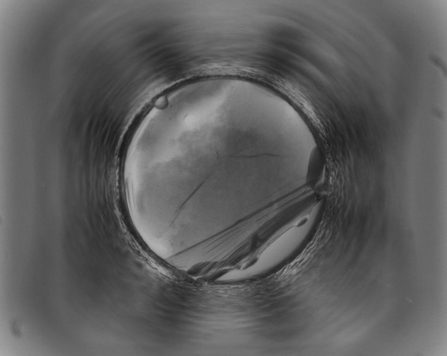 X0000097780992200804041210