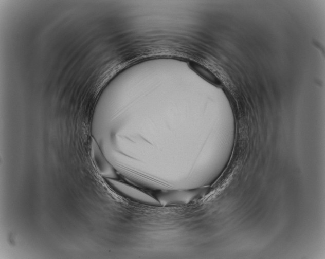 X0000097780993200804041210