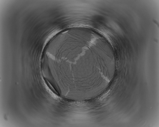 X0000097780995200804041210