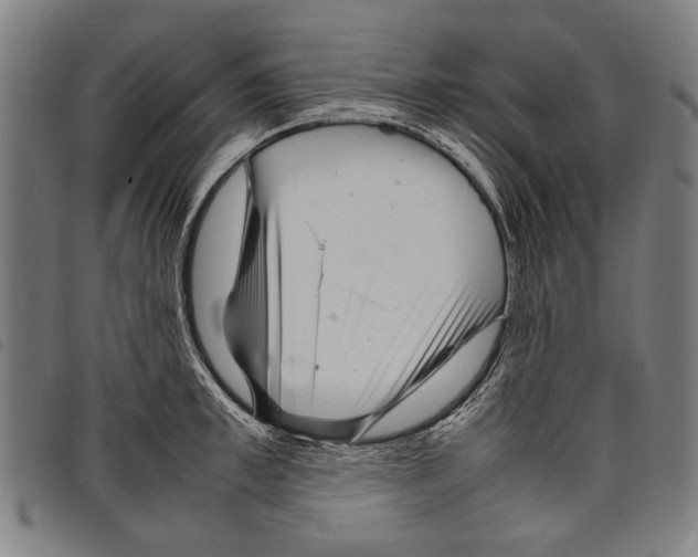 X0000097780997200804041210