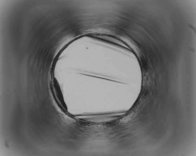 X0000097780999200804041210