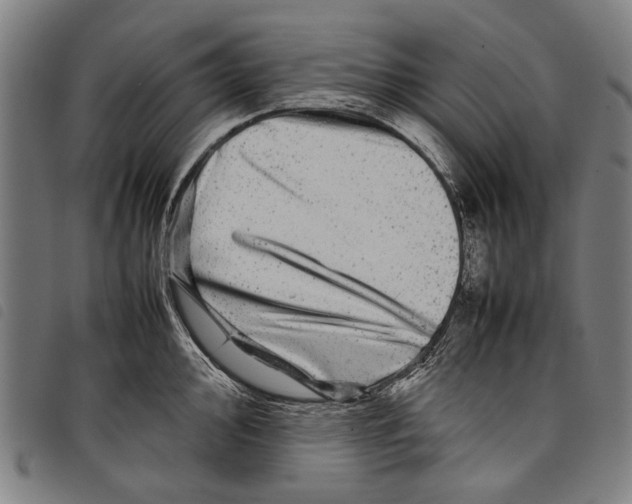 X0000097781000200804041210