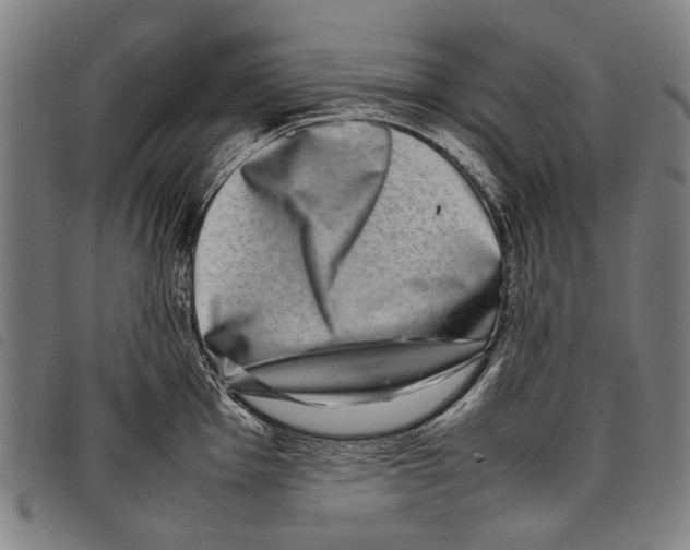 X0000097781001200804041210