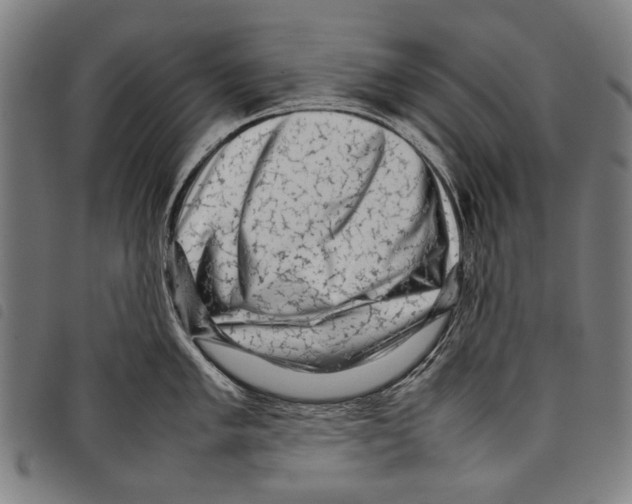 X0000097781005200804041210