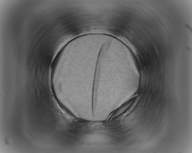 X0000097781006200804041210