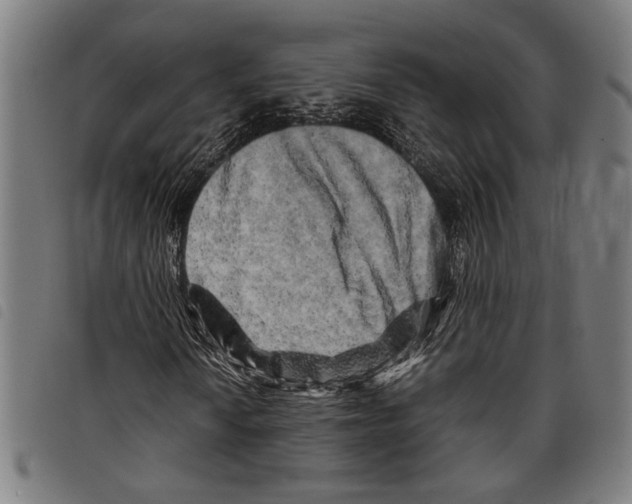 X0000097781010200804041209