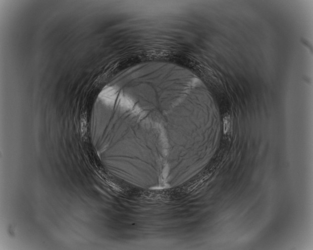 X0000097781011200804041209