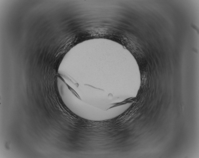 X0000097781012200804041209