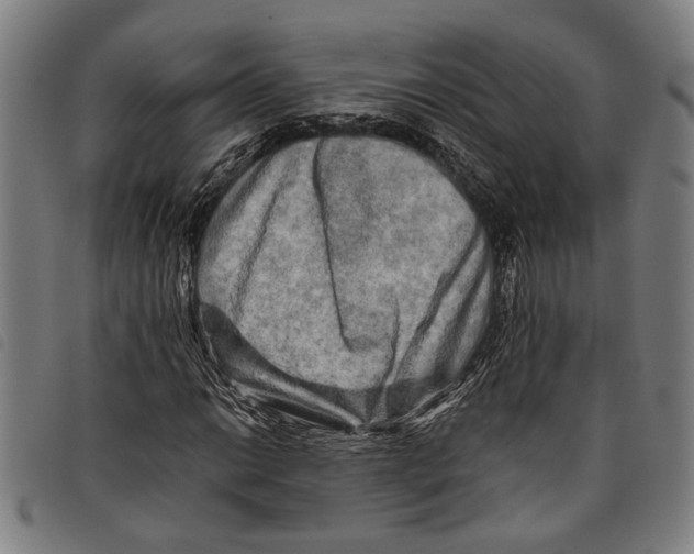 X0000097781014200804041209