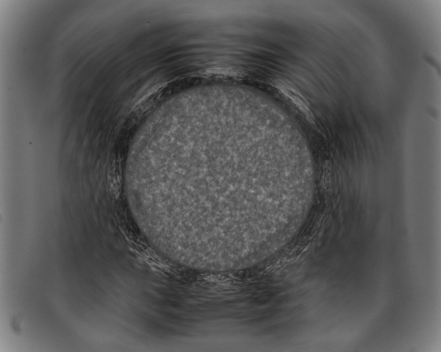 X0000097781015200804041209