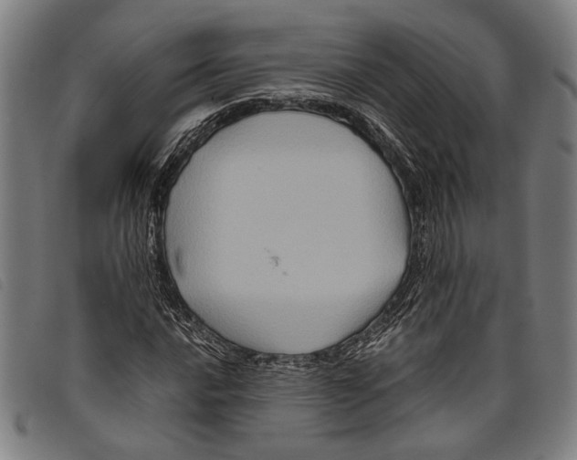 X0000097781016200804041209