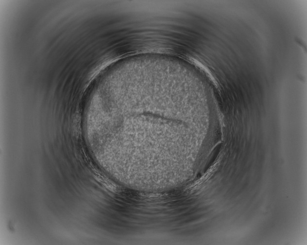 X0000097781019200804041209