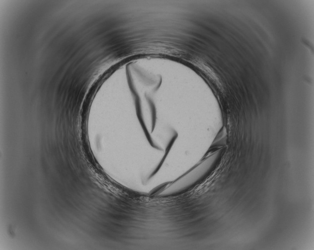 X0000097781020200804041209