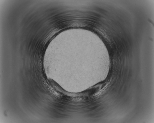 X0000097781025200804041209