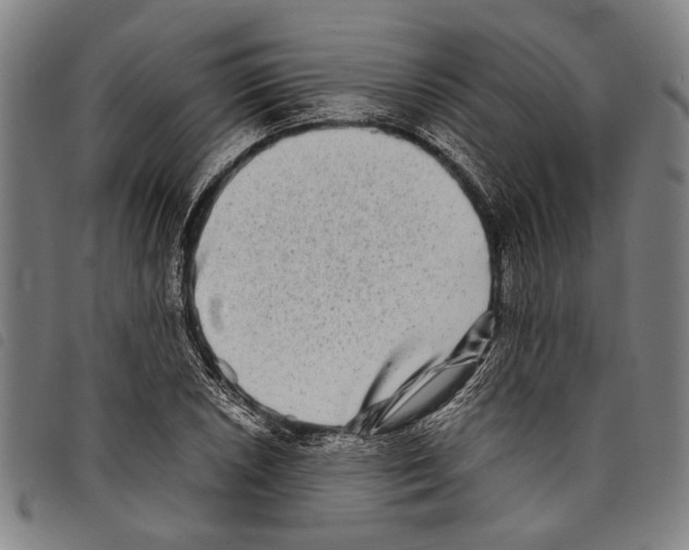 X0000097781026200804041209