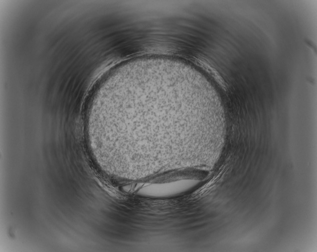 X0000097781027200804041209