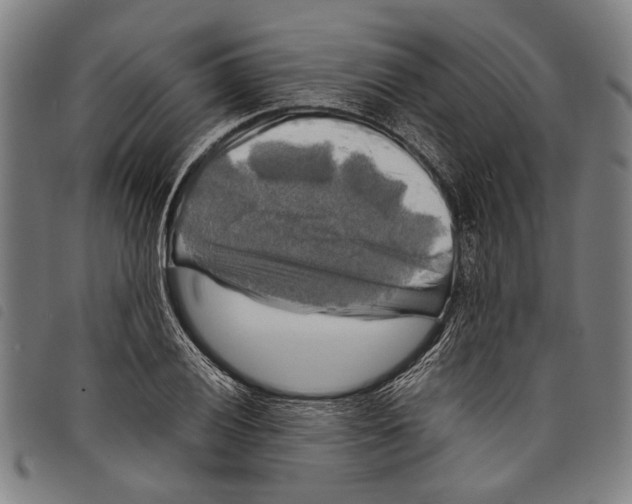 X0000097781028200804041209