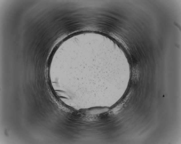 X0000097781029200804041209