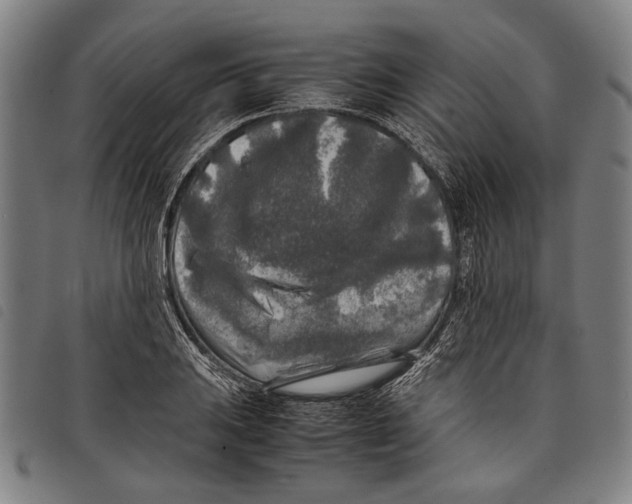 X0000097781031200804041209