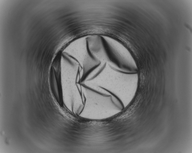 X0000097781034200804041209