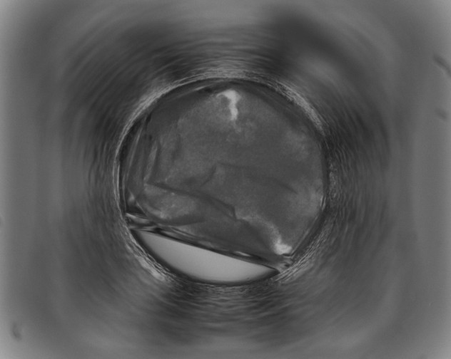 X0000097781035200804041209