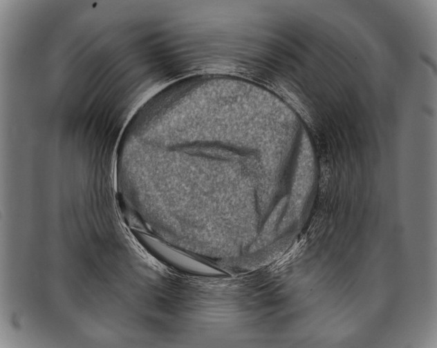 X0000097781036200804041209