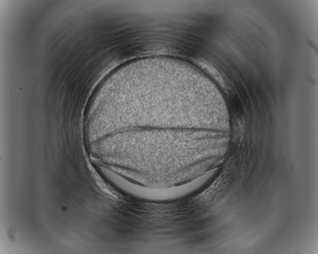 X0000097781039200804041210