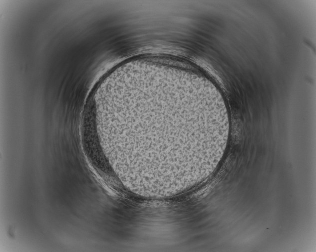 X0000097781040200804041210