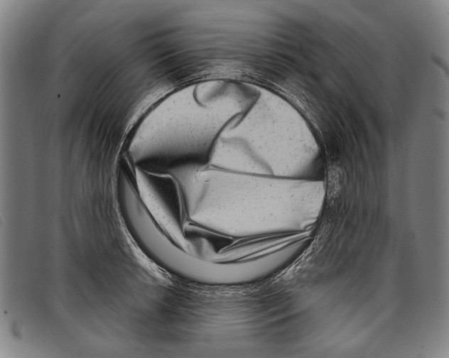 X0000097781042200804041210