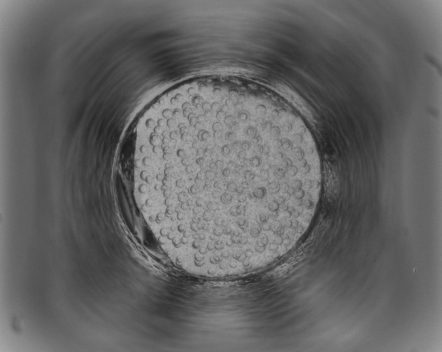 X0000097781044200804041210