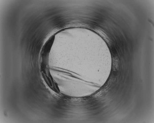 X0000097781046200804041210