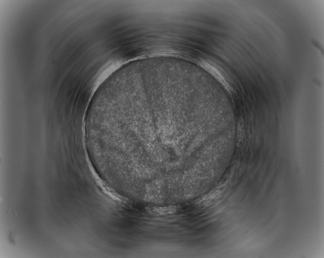 X0000097781047200804041210