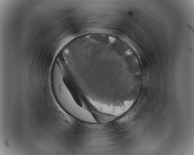 X0000097781048200804041210