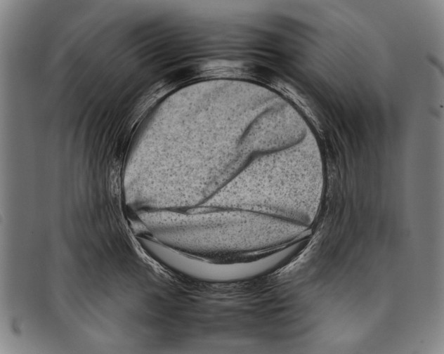 X0000097781049200804041210