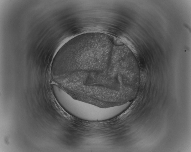 X0000097781052200804041210