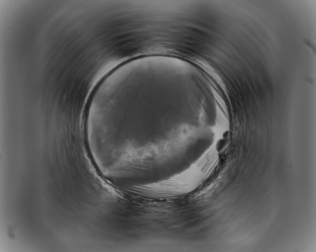 X0000097781053200804041210