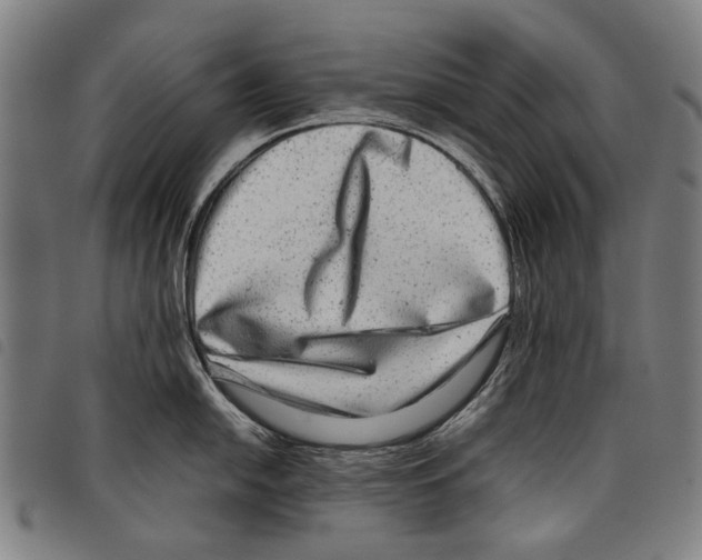 X0000097781054200804041210