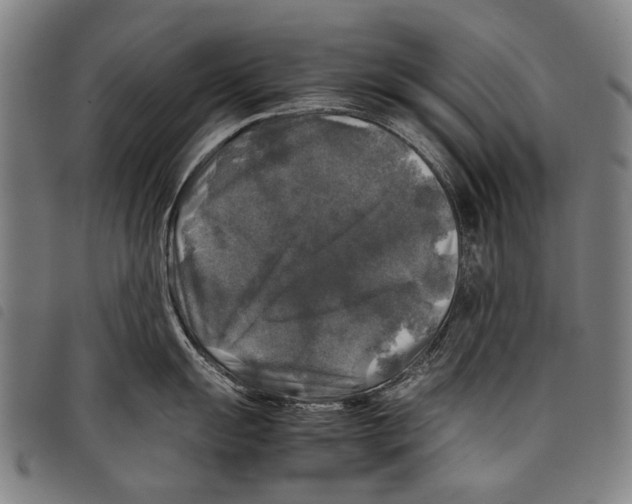 X0000097781055200804041210