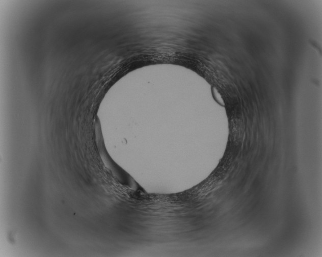 X0000097781057200804041209