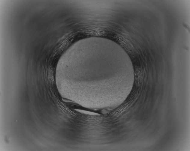 X0000097781058200804041209